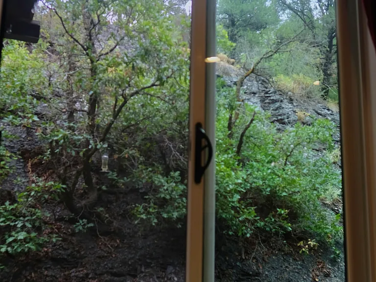 145 Ella Vita Ct — Photo 22