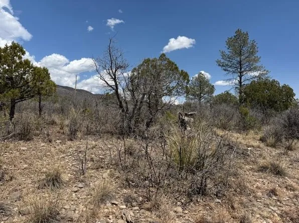 22 Milton Rd, Timberon, NM 88350