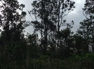 11-2575 Omeka LOT 5, Volcano, HI 96785