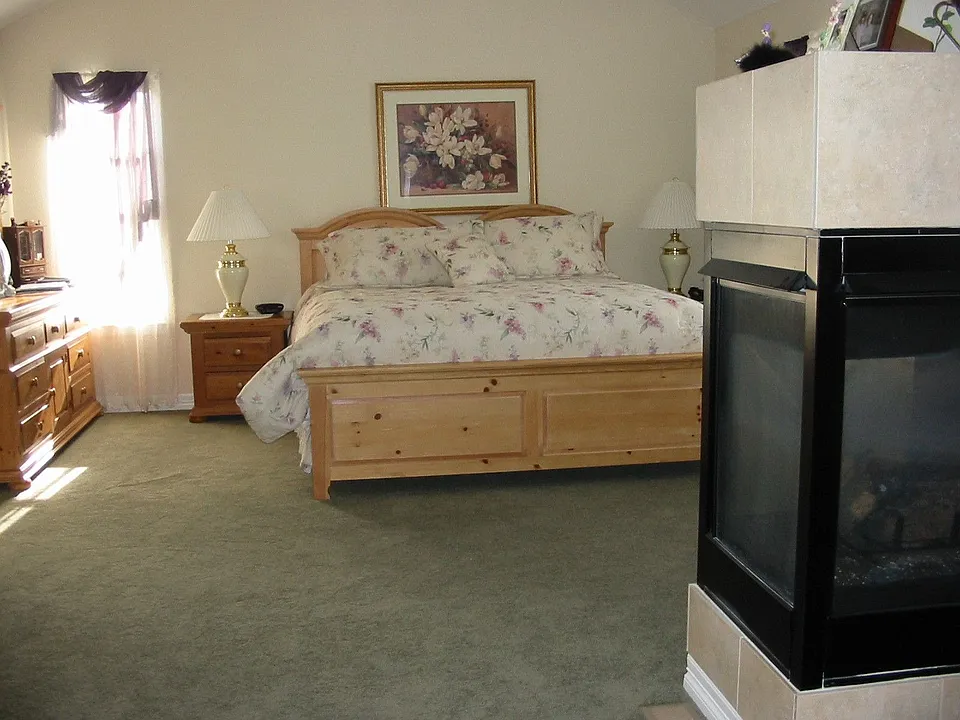 Gas fireplace in master bedroom!