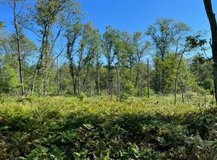 Brunswick Rd, Holton, MI 49425