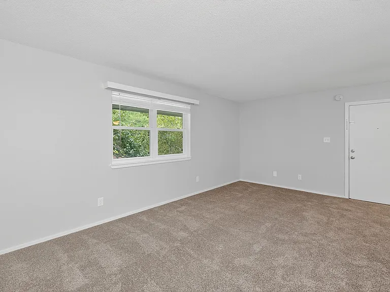Sawbranch Apartments — Photo 57
