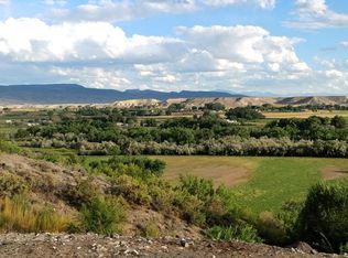 20298 Fox Ridge Dr, Austin, CO 81410