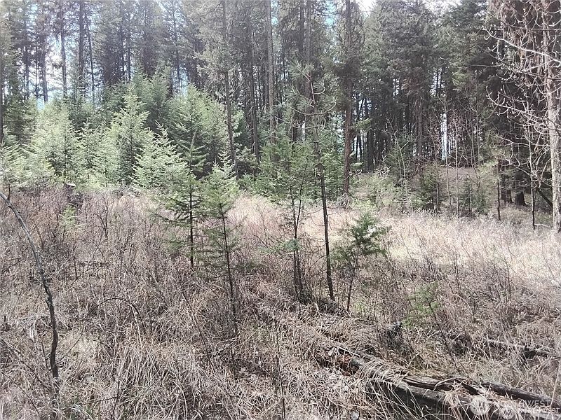 4th image of 44 Trapline Loop Road