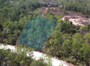 103 Mockingbird Ct, Georgetown, FL 32139