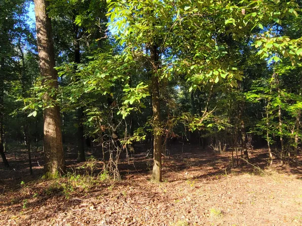 3A Shad Rd, Williston, SC 29853