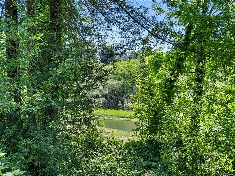 14975 River Rd #6 — Photo 30