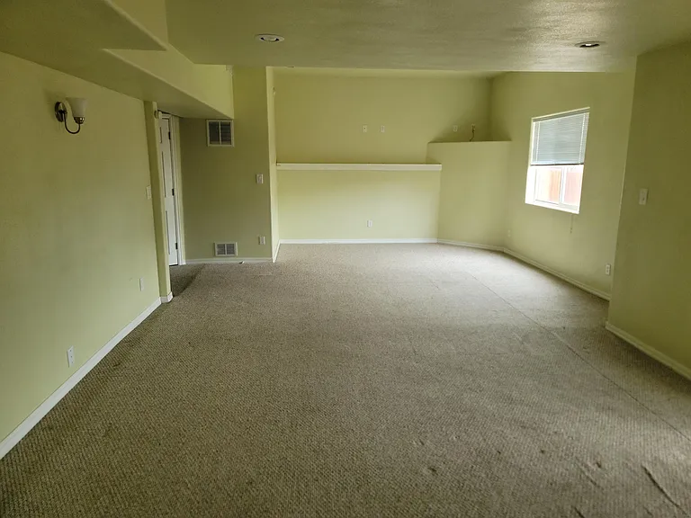 Basement family room