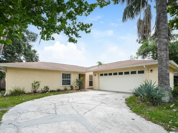 15709 Squirrel Tree Pl, Tampa, FL 33624