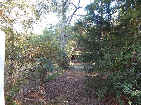 3rd image of Johnson Road Chinaberry