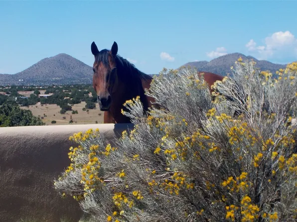 263 Camino Los Abuelos, Santa Fe, NM 87508