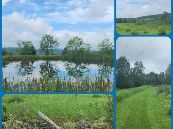 0 Dunk Hill Rd #7, Walton, NY 13856