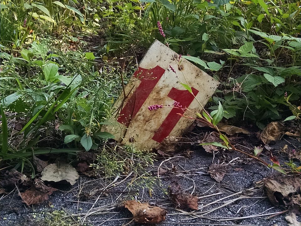 2nd image of 163 Hidden Meadow Dr