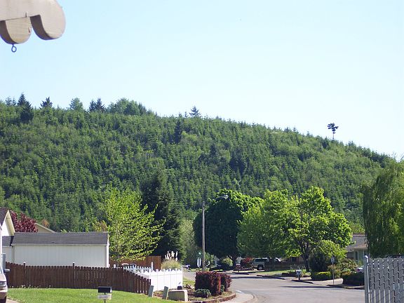 The view from the front porc