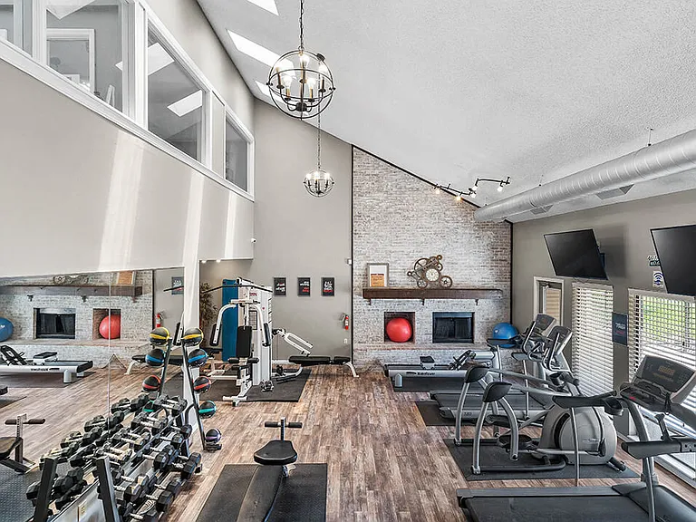 Free Weights and Exercise Machines