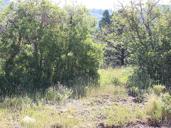 3rd image of 2267 S High Mountain Dr