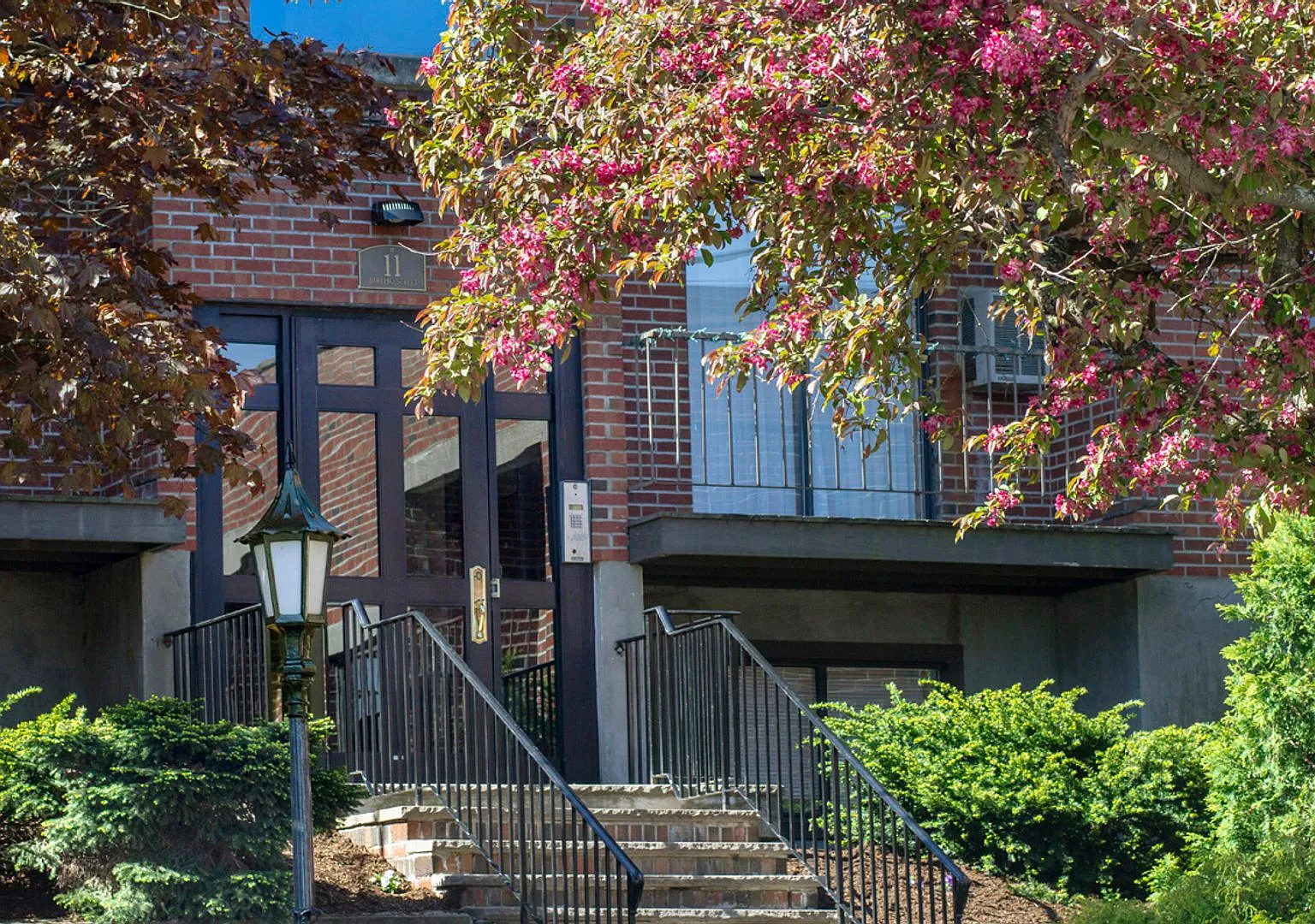 Nice 2 bed in Mission Hill — Photo 1