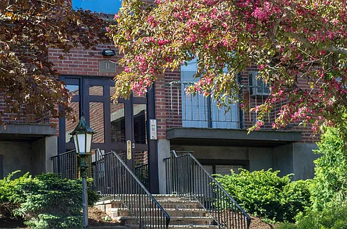 11 Darling St #8A Photo 1