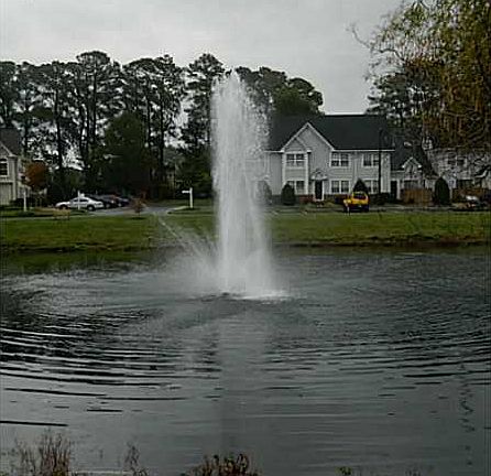 5th image of 3827B Rivanna River Rea*