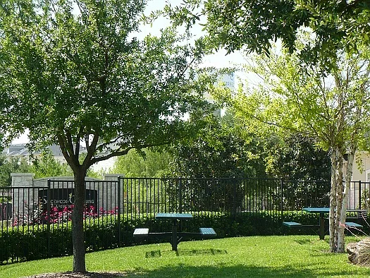 Spicewood Crossing — Photo 10
