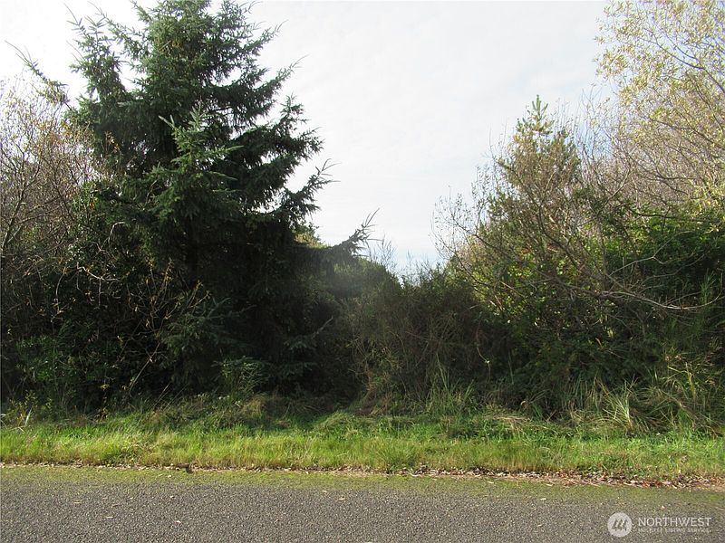 4th image of 0 Driftwood Dr Drive