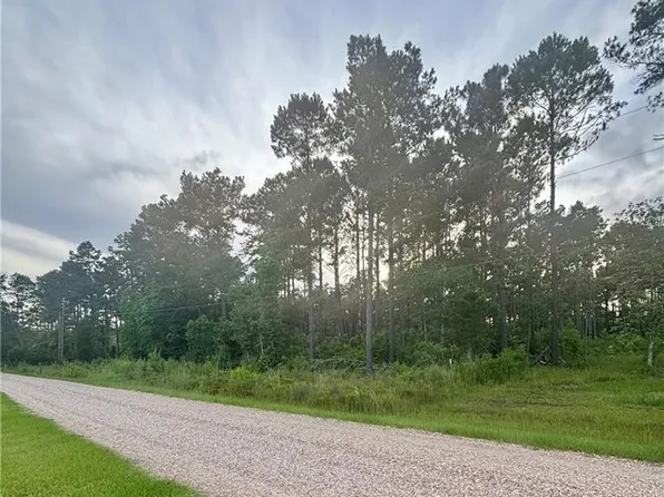 28019 Etta Blount Rd, Albany, LA 70711