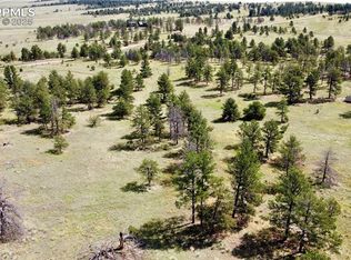 32041 Cattle Cir, Ramah, CO 80832