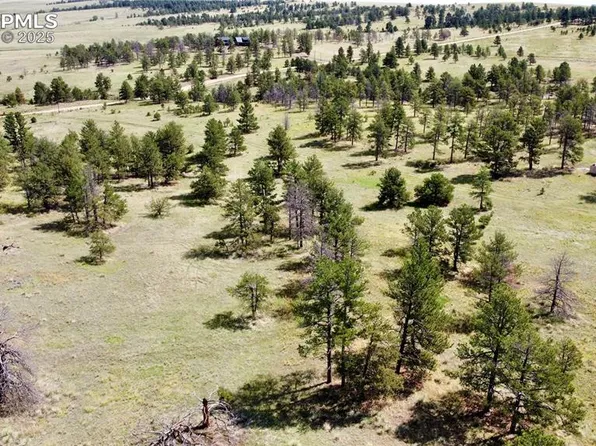 32041 Cattle Cir, Ramah, CO 80832