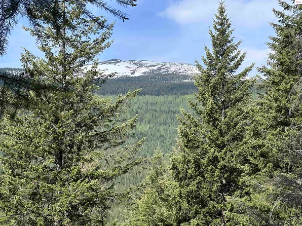 755 Twilight Ln, Sandpoint, ID 83864