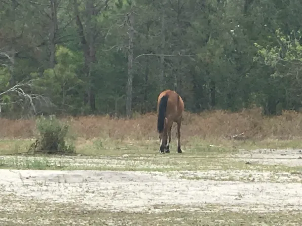 635 N Quebrada St, Clewiston, FL 33440