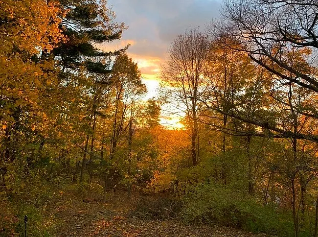 View from deck