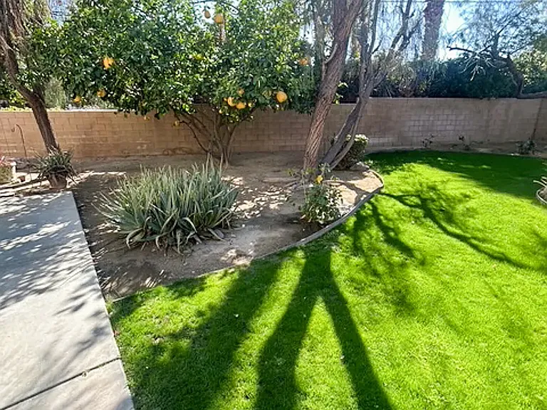 Shared Courtyard