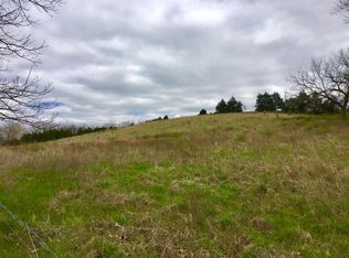 1060 Lon Rd, Rogersville, MO 65742