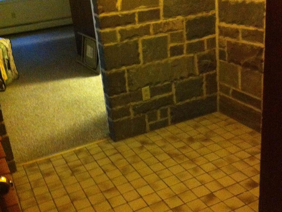 Foyer entrance into living room/kitchen.