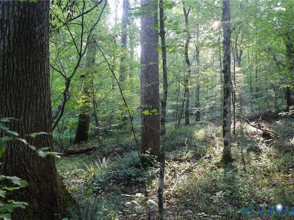 0 Redlawn Rd Lot 38, Boydton, VA 23917