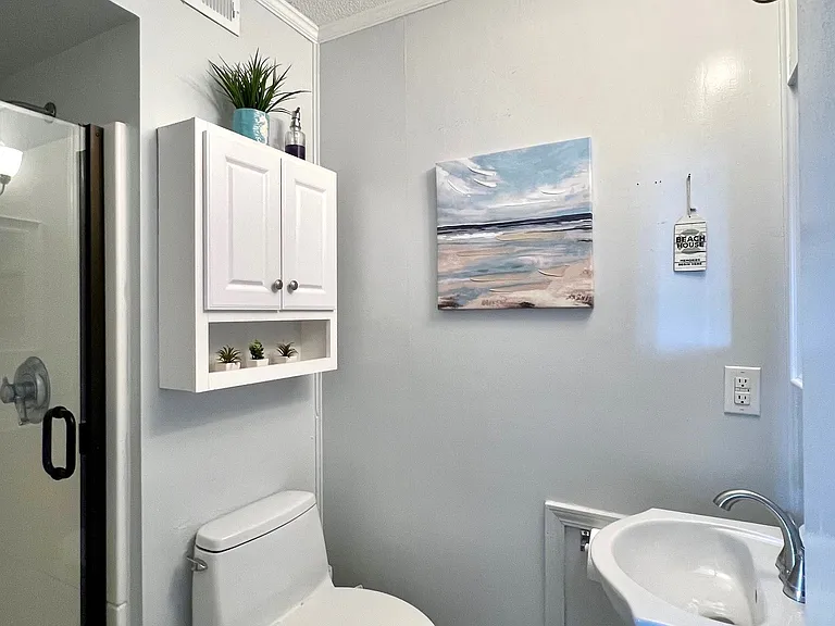 Main Bedroom bathroom with shower