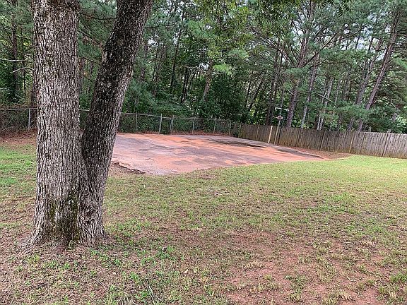 Backyard sports court