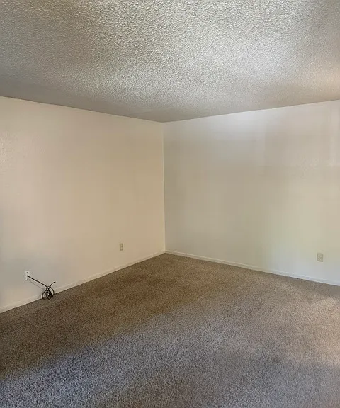 4332 Pacific Ave #37 — Photo 7