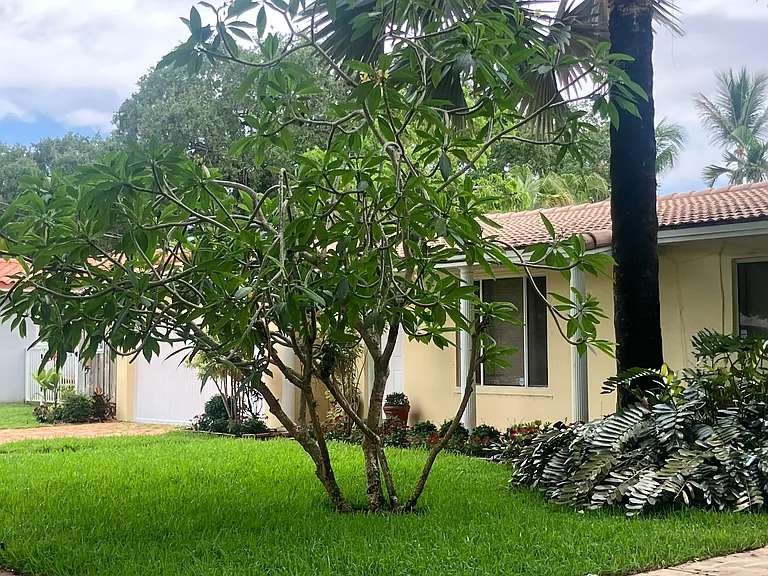 Side view with new lawn and landscaping