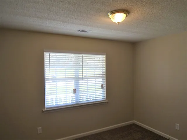 302 Christian Ct — Photo 12