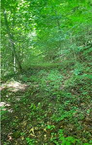 0 Fishers Creek Rd, Rogersville, TN, 37857