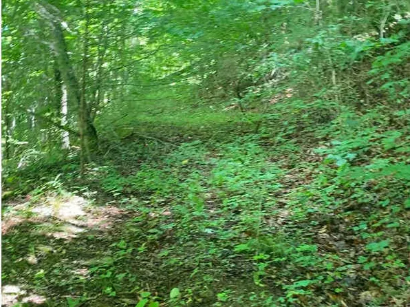 0 Fishers Creek Rd, Rogersville, TN 37857