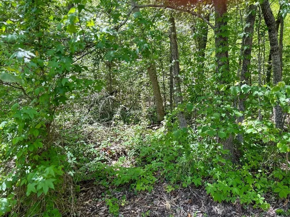 4002 Wears Cove Rd, Sevierville, TN 37862