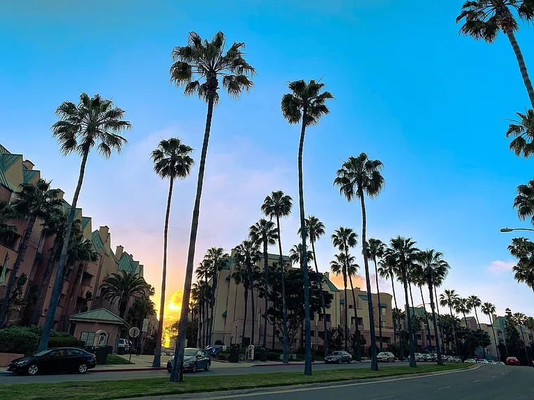 La Jolla View — Photo 21
