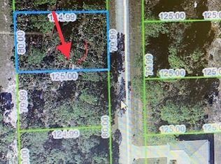 570 Washington Pl, Lake Placid, FL 33852