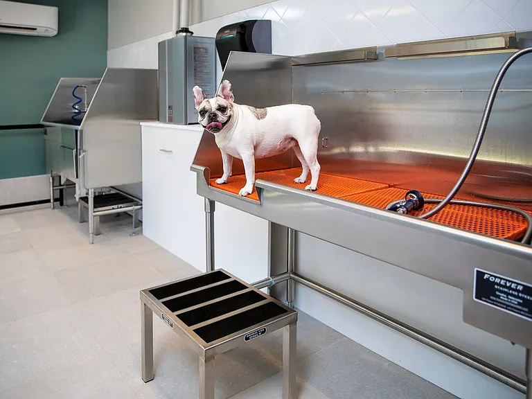 WAG Pet Spa