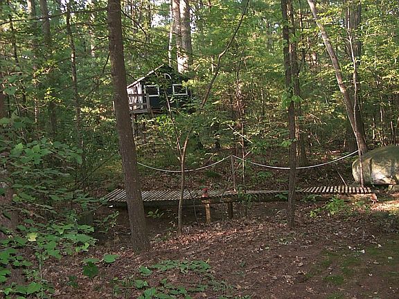 bridge and tree house in woods