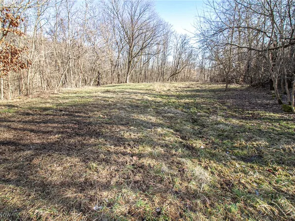 0 Jewett Germano Rd, Jewett, OH 43986