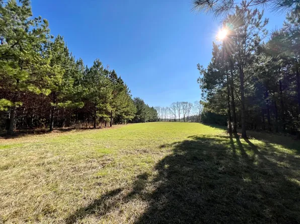 0 County Road 80, Tyler, AL 36785