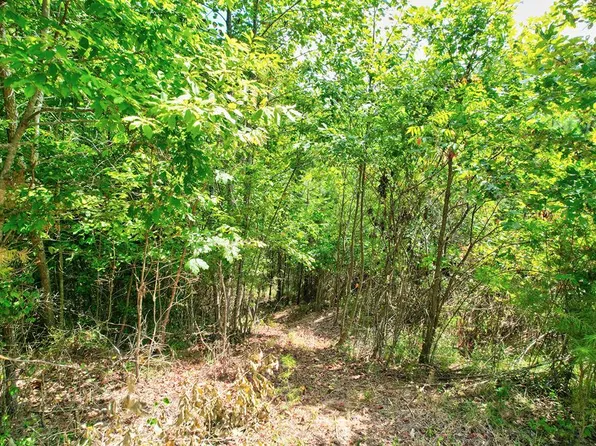 20 River Rdg, Ellijay, GA 30536